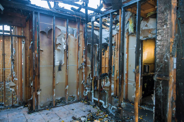 Professional Smoke Damage Removal technician working in Flowery Branch, GA
